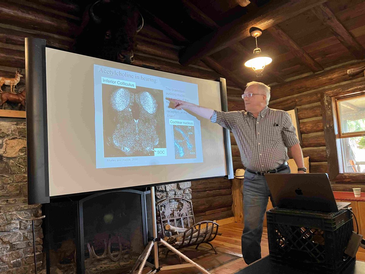neomedhearing's tweet photo. This August, four of our faculty members attended the Fourteenth International Workshop on Auditory Processing at @RimrockDR in Cody, Wyoming. What goes better with hearing research than horses? 🐴 https://t.co/sABuk61Tsj
