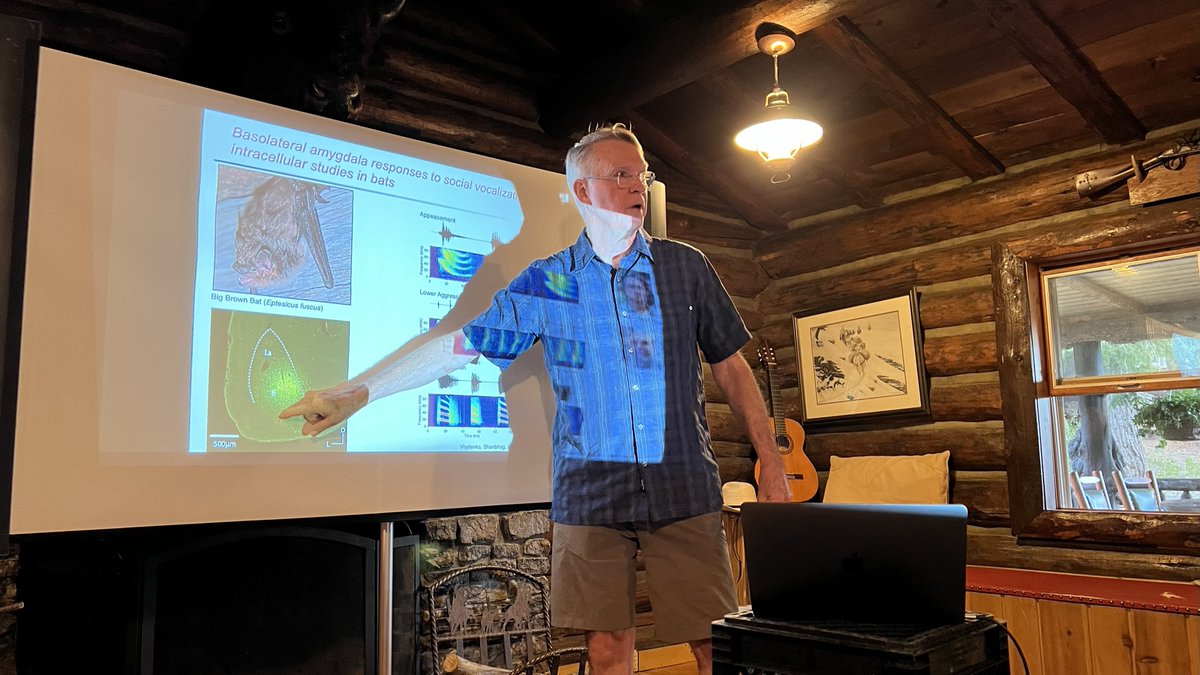 neomedhearing's tweet photo. This August, four of our faculty members attended the Fourteenth International Workshop on Auditory Processing at @RimrockDR in Cody, Wyoming. What goes better with hearing research than horses? 🐴 https://t.co/sABuk61Tsj