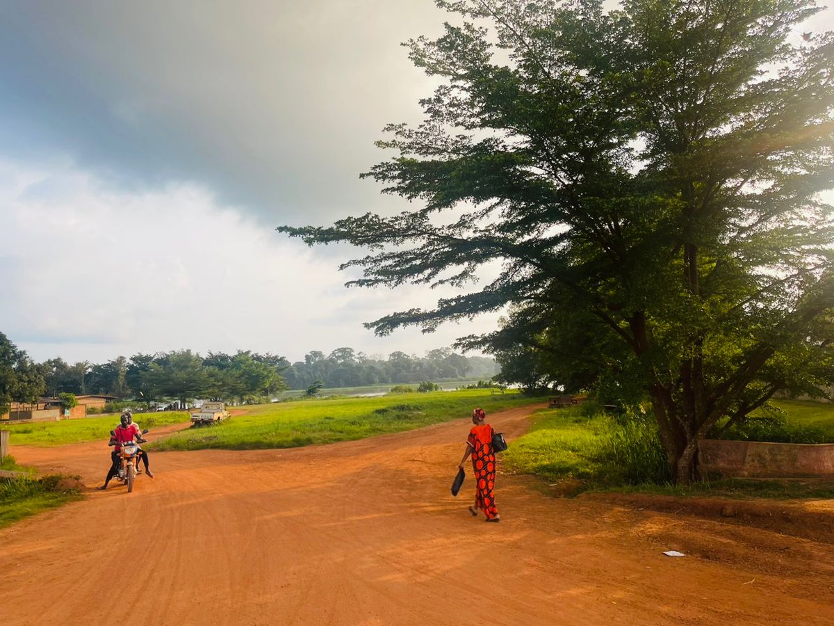 Mjec_242's tweet photo. "L'année 2023 est la plus chaude jamais enregistrée. Les forêts sont cruciales pour combattre le réchauffement, absorbant 35% des émissions mondiales. Les jeunes congolais du MJEC appellent à lutter contre la déforestation du bassin du Congo pour un futur durable. #BassinDuCongo" https://t.co/jBcu7INhUf