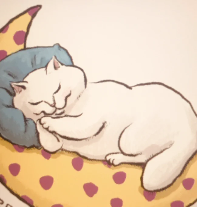 Bonne nuit.#猫 