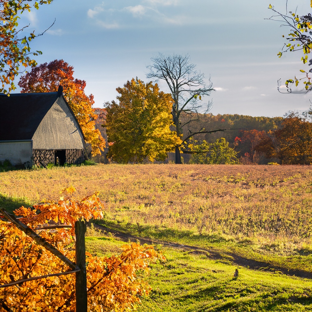imagestheisoa's tweet photo. Country Park of Dreams: A Fairytale in Autumn
#autumnvibes #parkviews #bluesky #cloudscape #thatchedcottage #fairytalescene #Fall #NatureLovers #CozyCottage #MagicalMoments #TreeHugger #CityAndCountry #ScenicWalk #AutumnMagic #InstagramWorthy #autumn #fall #thatched #cottage https://t.co/Kmr75aFLzp