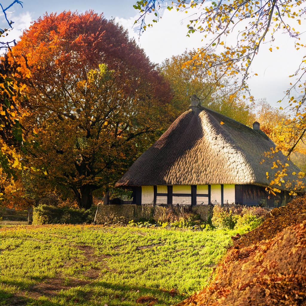 Enchanted Autumn: A Fairytale Countryside Stroll
#autumnvibes #thatched #parkviews #bluesky #cloudscape #thatchedcottage #fairytalescene #Fall #NatureLovers #CozyCottage #MagicalMoments #TreeHugger #Cottage #ScenicWalk #AutumnMagic #InstagramWorthy #autumn #fall