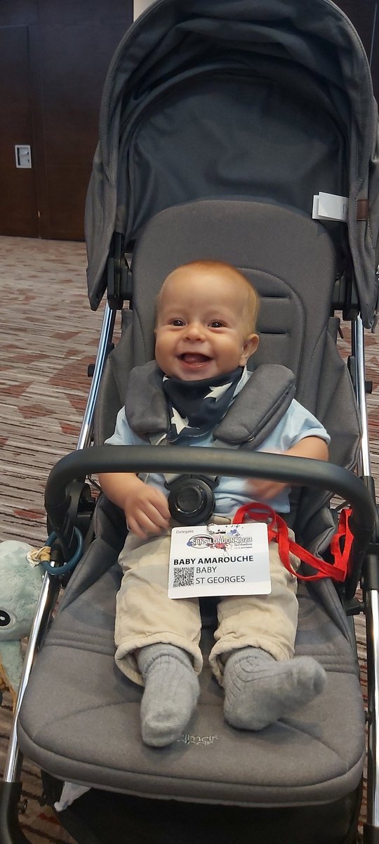 The youngest delegate at #SBNSLONDON2023 seems to be having a ball! Perhaps the next step is formal childcare facilities at the next @The_SBNS meeting?