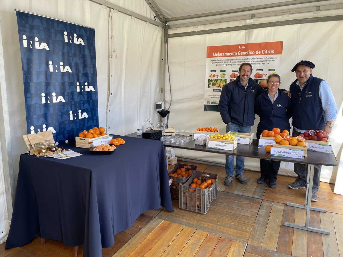 INIA_UY's tweet photo. Hoy explosión de sabores en el stand de INIA en @ExpoPrado Lo nuevo en cítricos de las mano de nuestros investigadores, los esperamos de 9hs. a 21hs. https://t.co/cispiyp7wA