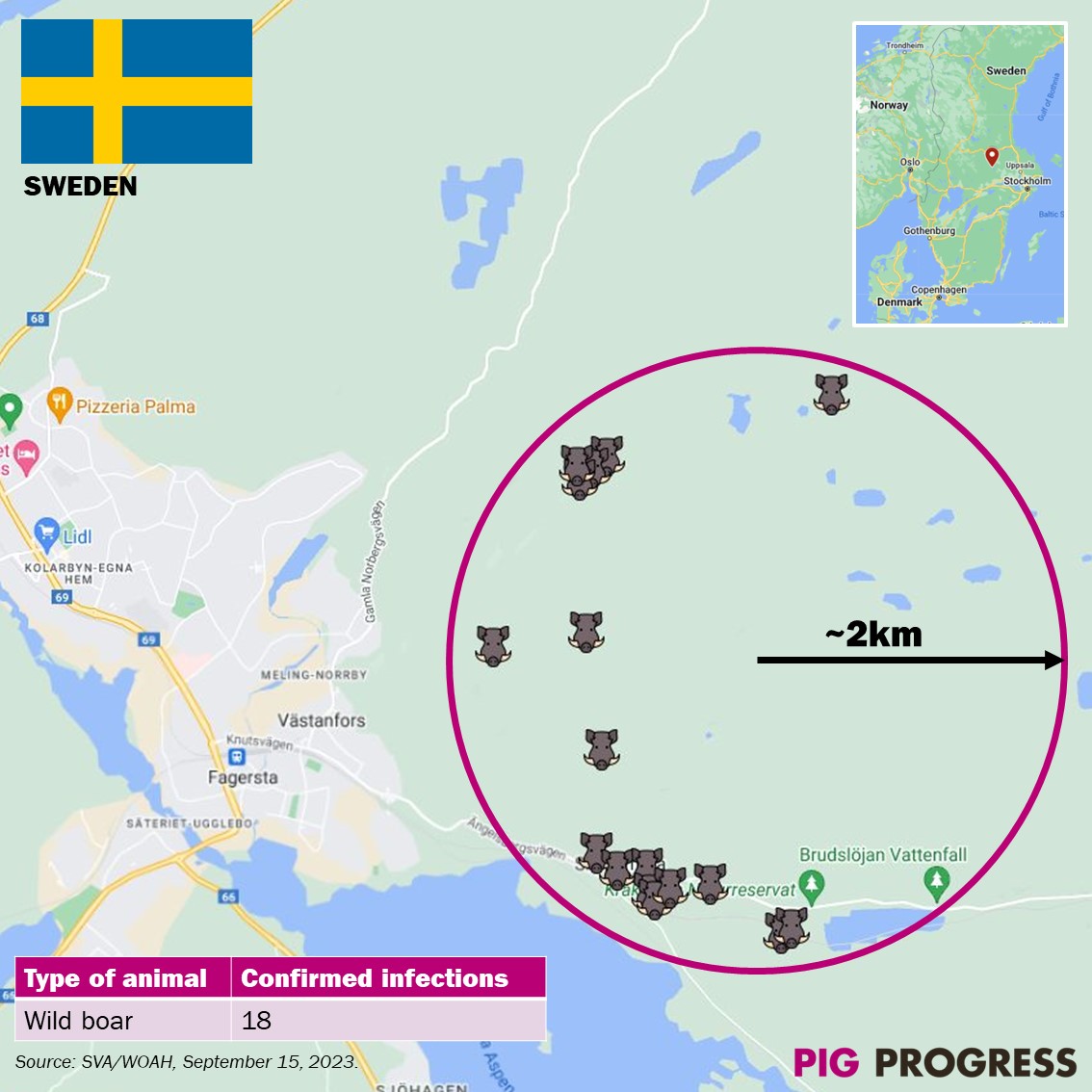 Update about the #ASF situation in Sweden 🇸🇪. The authorities have found 18 infected wild #boar carcasses, all within a 2km radius east of Fagersta. More finds are being expected. The map shows the most recent situation - follow @PigProgress to learn about the latest updates.
