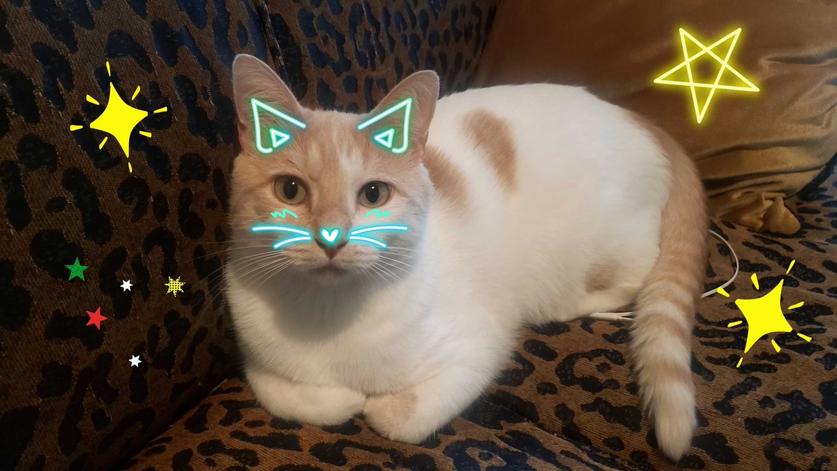 Stoned Adulterer tweet media