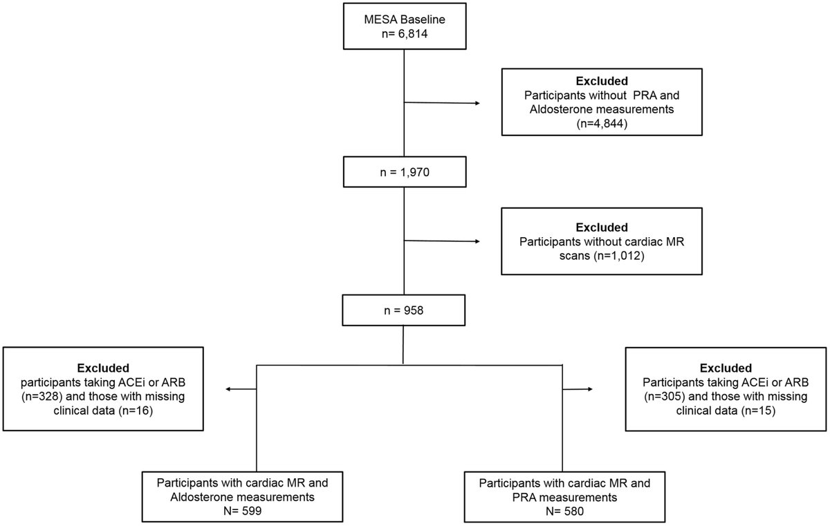 American Journal of Hypertension tweet media
