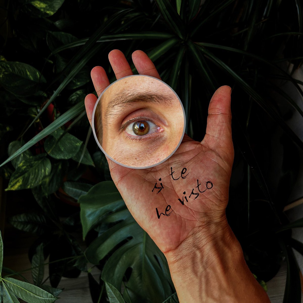 DittoMusicESP's tweet image. - Alma en Vilo - @eudaldpayes , @ritapayesroma , @pol.battle , @elisabethroma 
- Si te he visto - @martin_ceballos 

#DittoMusicEspañol #DittoDistributed #NuevaMusica #NewReleases