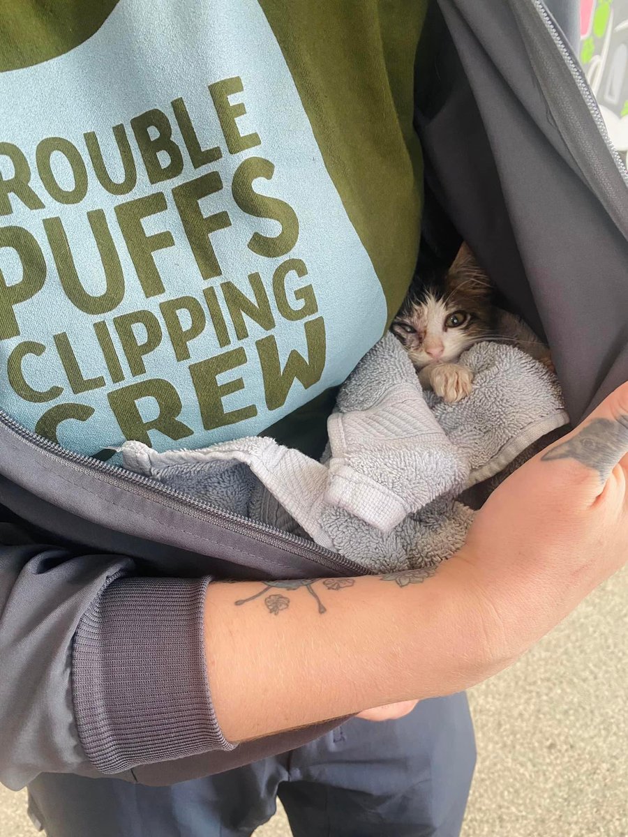 Soft Side tweet media