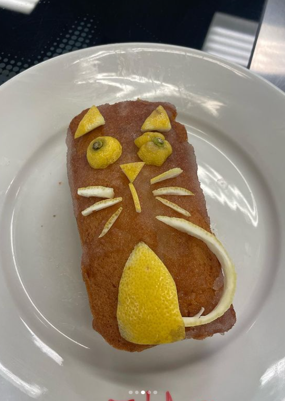 The second week has absolutely flown by for staff and students alike! It's great to see our students settling in. We still have places available on selected programmes, so check out our website over the weekend: midkent.ac.uk How cute is this 'cat' lemon drizzle cake?