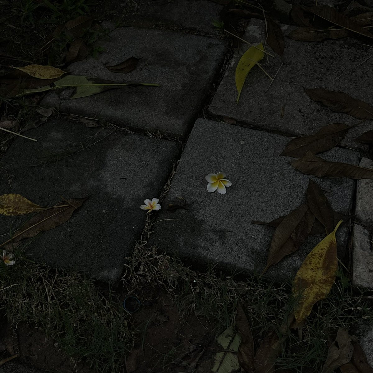 Eric SnipeR (@evltrickzen) on Twitter photo 