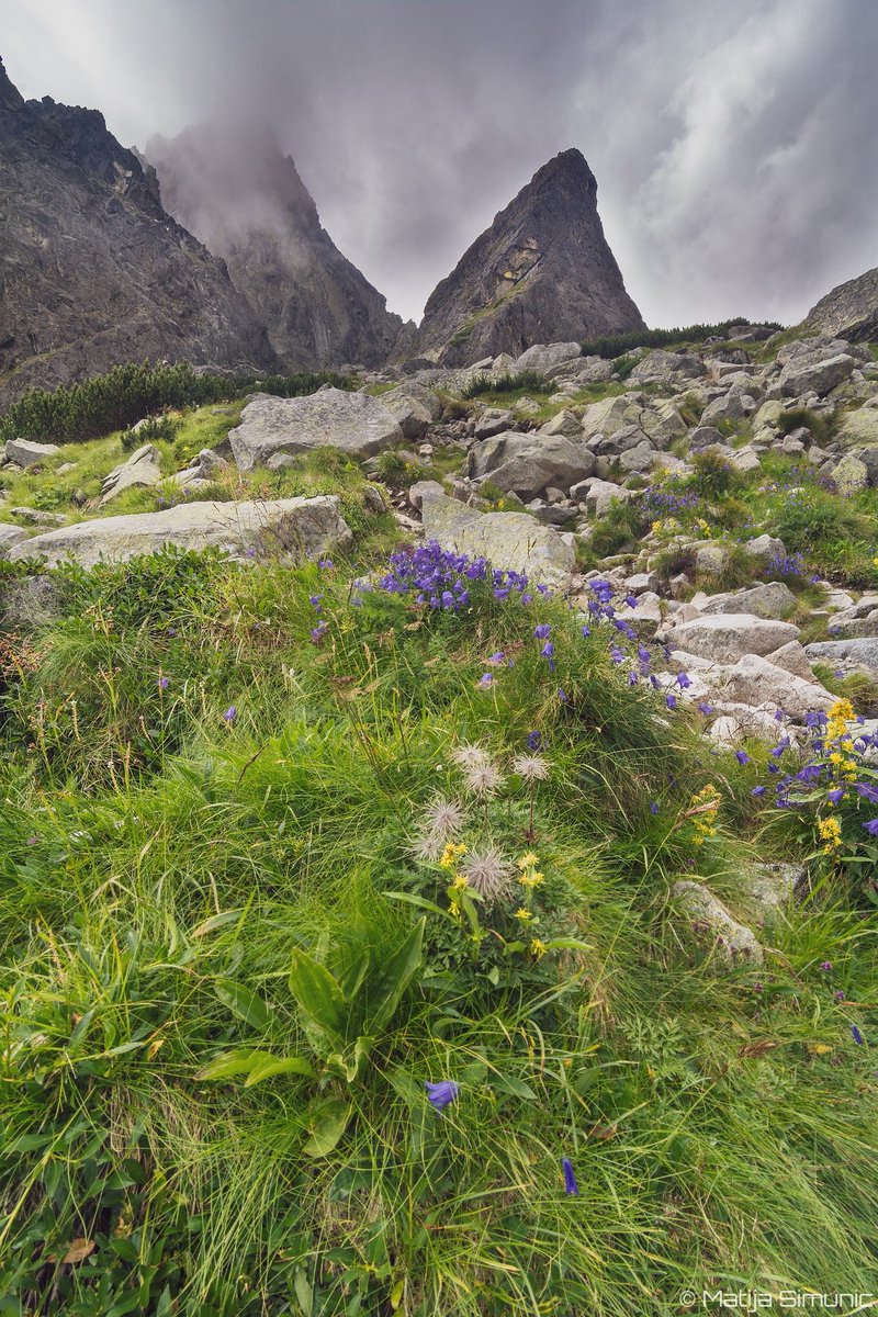 SimunicMatija's tweet photo. High Tatras summer scene. 
#landscapephotography https://t.co/M1xvTjThJU
