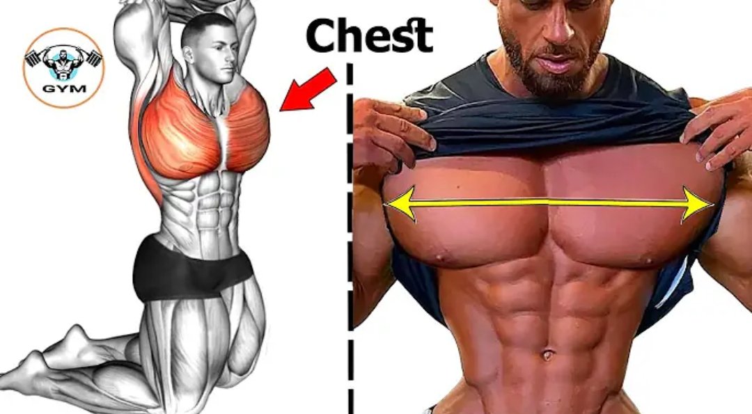 10 Best chest workout to turn your chest into a bigger chest