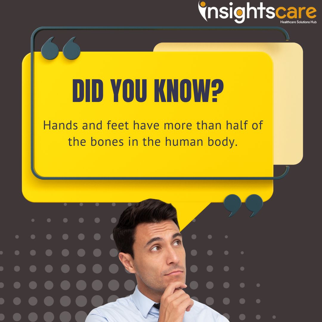 Insightscare's tweet image. Did you know? 🦴
.
.
.
#BodyStructure #DidYouKnow #HandAndFootFacts #AnatomyTrivia #CuriousMind