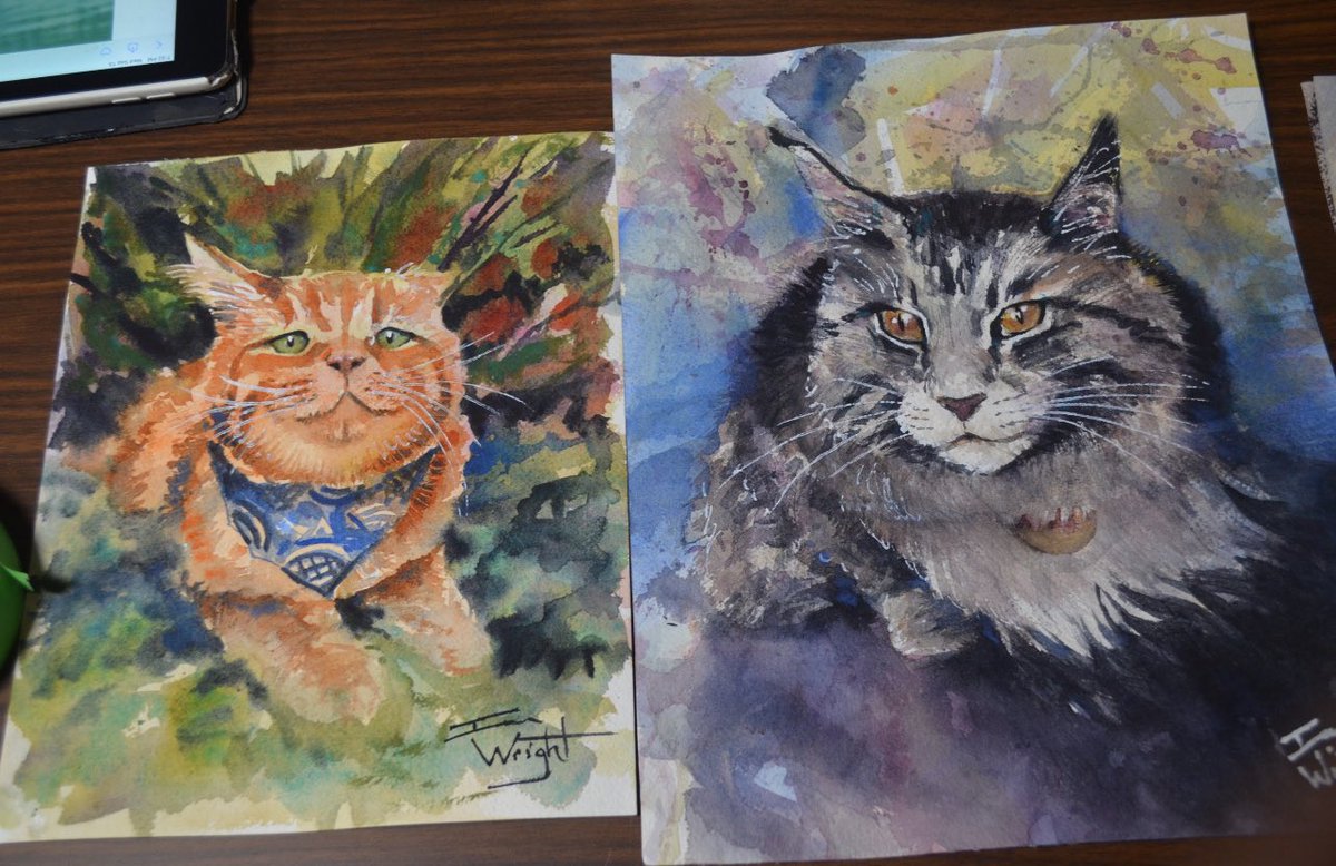 TWSwatercolours's tweet photo. Ian Wright delighted cat fans at the TWS monthly members meeting on September 13, 2023. https://t.co/FNbwSXU8CK