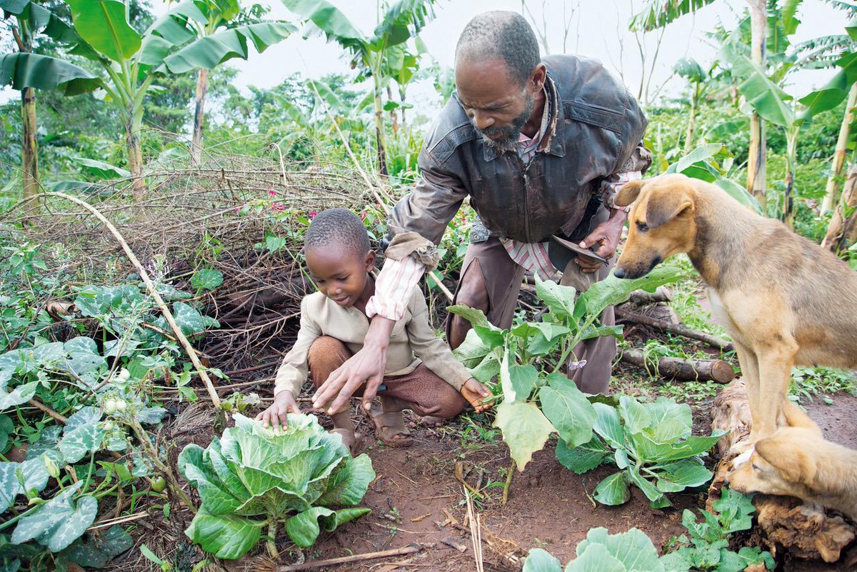Apply to the Spring Break abroad program in Malawi: IAFF 6138 Solutions in Sustainable Development.  Beyond sustainability, the course will focus on vulnerabilities to climate change and how to build resilience. Apply by 10/1!

passport.gwu.edu/index.cfm?Fuse…