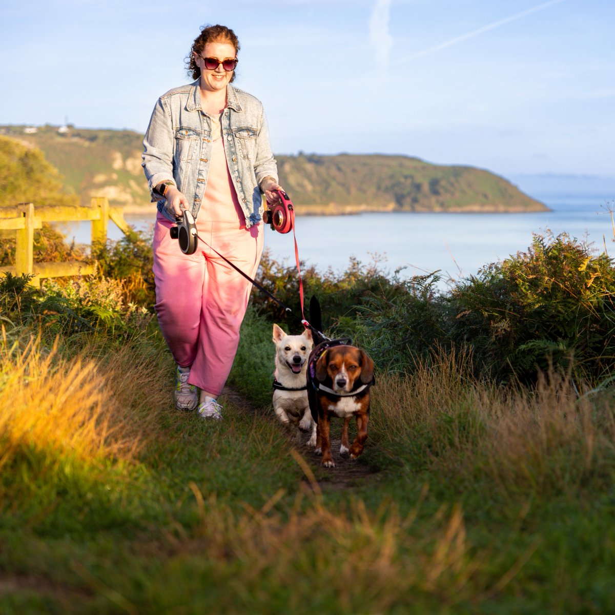 We have access to so much wonderful countryside in Jersey, including many paths and tracks whose owners kindly allow public access 🌻 Let’s remember to be respectful and ensure continued access for all. Head to gov.je/CountrysideCod… for more info.