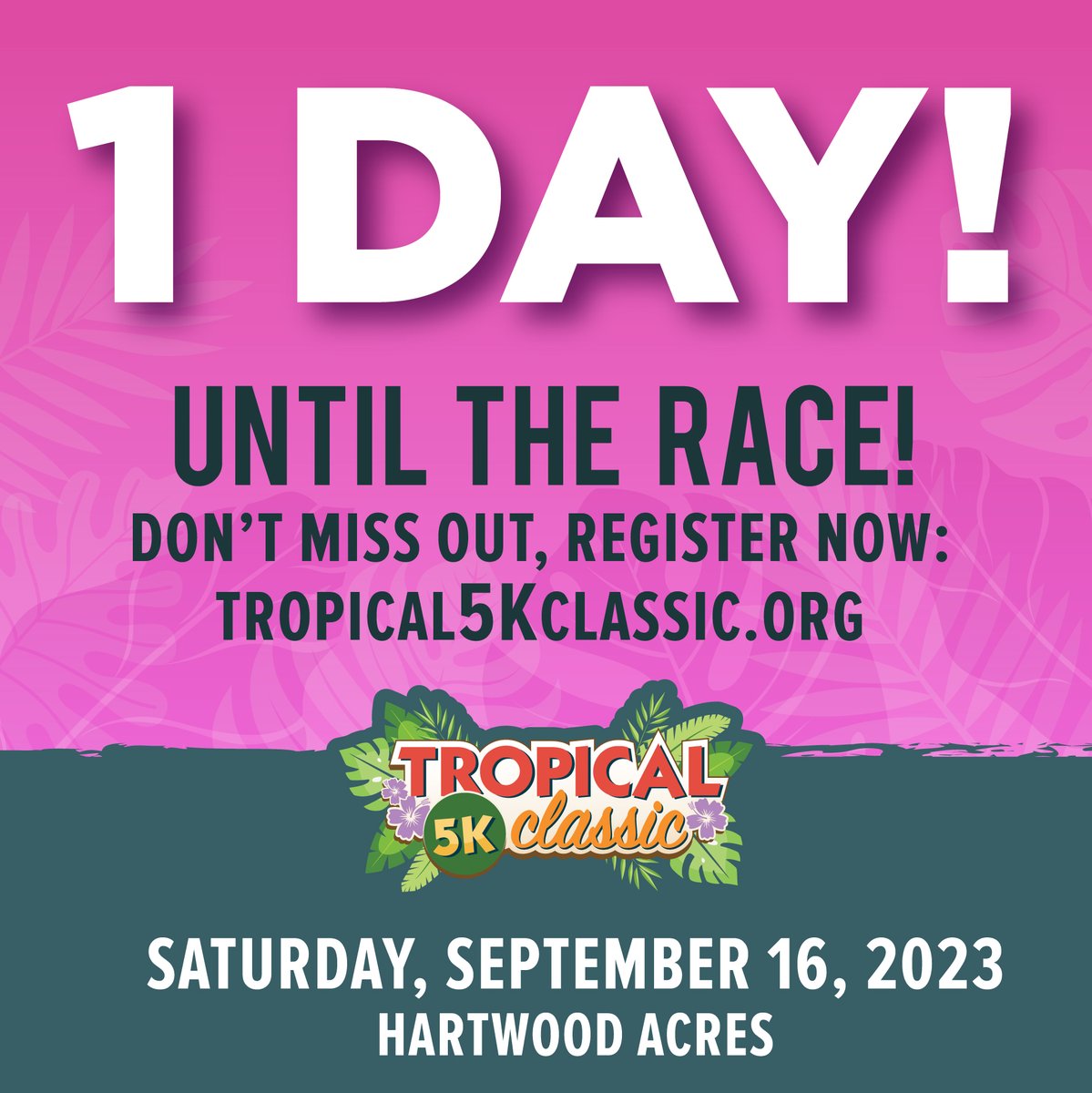 Tropical 5K Classic tweet media