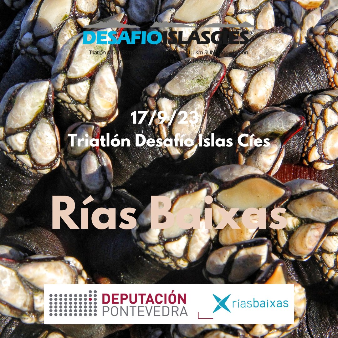 👉 Turismo Deportivo:  Rías Baixas es sinónimo de gastronomía de excelencia gracias a sus inmejorables productos y una cocina de vanguardia que respeta la tradición. Déjate enamorar por nuestros cocineros con Estrella Michelín

<a href="/depo_es/">Deputación Pontevedra</a> 
<a href="/turisriasbaixas/">Turismo Rías Baixas</a>