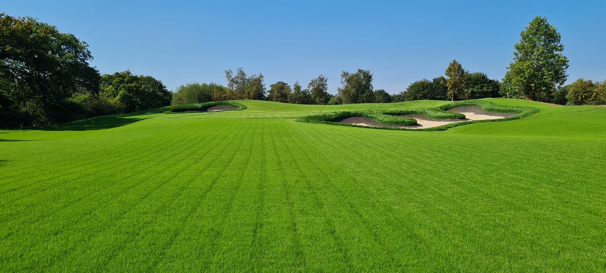 The Dimpled Egg tweet media