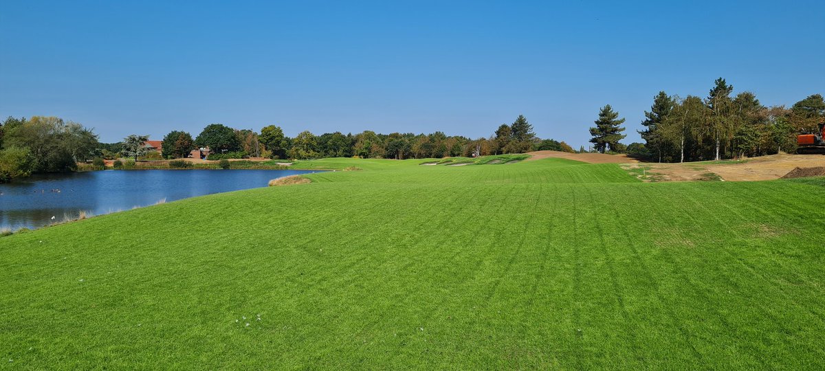 The Dimpled Egg tweet media