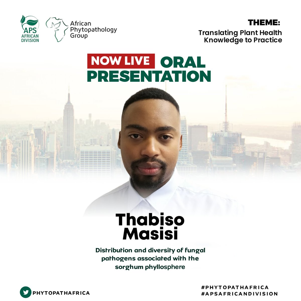 So far, these guys did well
<a href="/plantdisease/">The American Phytopathological Society</a> <a href="/LandbouLisa/">Lisa Rothmann</a>
<a href="/LourenaArone/">Lourena Arone Maxwell</a> <a href="/shabintiyusuf/">Dr. Shahasi Y. Athman🇰🇪🇺🇬</a> <a href="/RuthFestus4/">Ruth Festus</a> <a href="/nov1873/">Olufemi J. Alabi</a> <a href="/smallowa/">Sally Mallowa</a> <a href="/FaithABankole/">Faith Ayobami Bankole</a> <a href="/rauwane_m/">Molemi Rauwane</a> <a href="/Ebunajobiewe/">Ebunoluwa Ajobiewe MSc.</a> <a href="/Dr_WardatouB/">Dr. Wardatou Boukari</a> <a href="/moyo_plantpath/">Lindani Moyo</a> <a href="/Temmykeji/">Nightingale</a> #APSAFRICANDIVISION