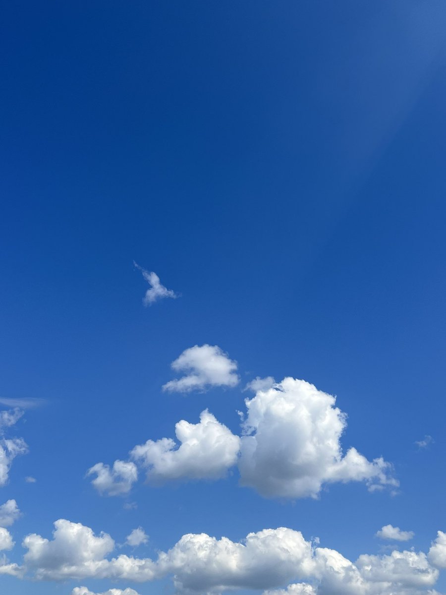 DoodleArt (@doodleartalice) on Twitter photo 