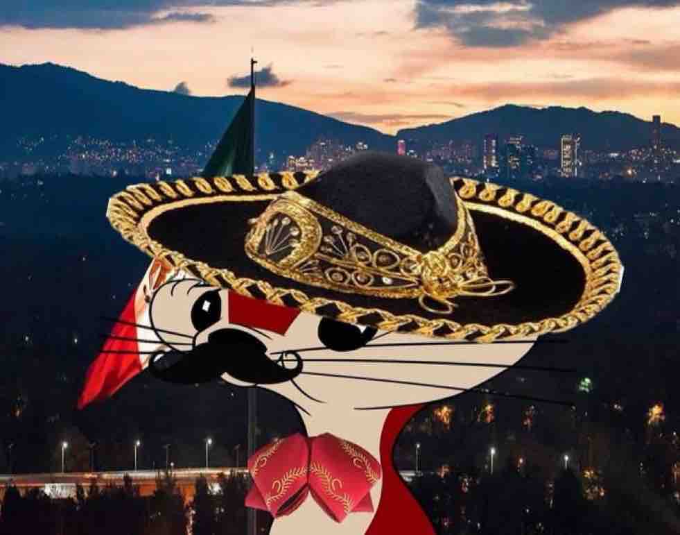 Pasos para tener una noche mexicana: 

1.- Estar en México 
2.- Que sea de noche