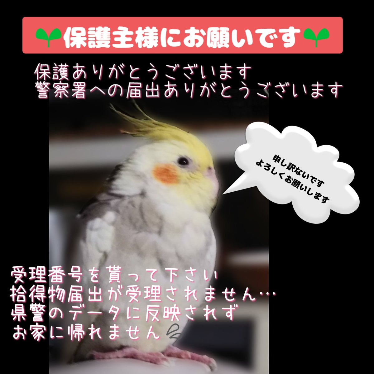 Yukino_ tweet media