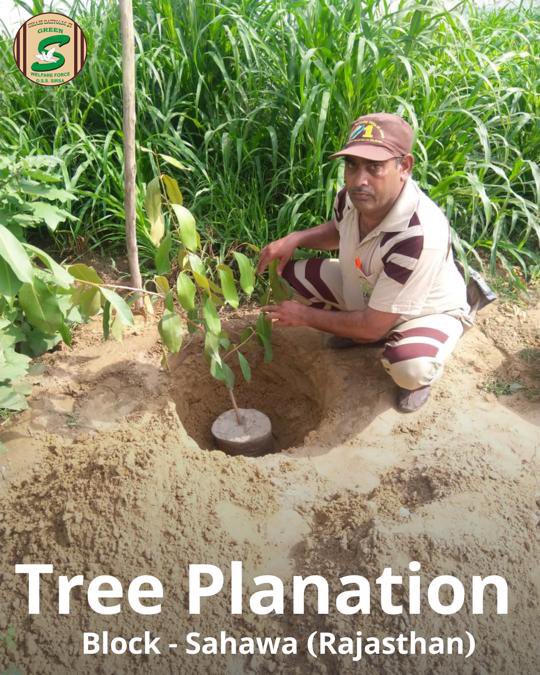 GreenSwelfares's tweet photo. Shah Satnam Ji Green 'S' Welfare Force Wing volunteers continuously plating trees! 🌳 Let's plant trees today, so that future generations can enjoy the beauty of healthier tomorrow.  #TreePlantation #SaveOurPlanet #DeraSachaSauda https://t.co/KwaLdB8POk