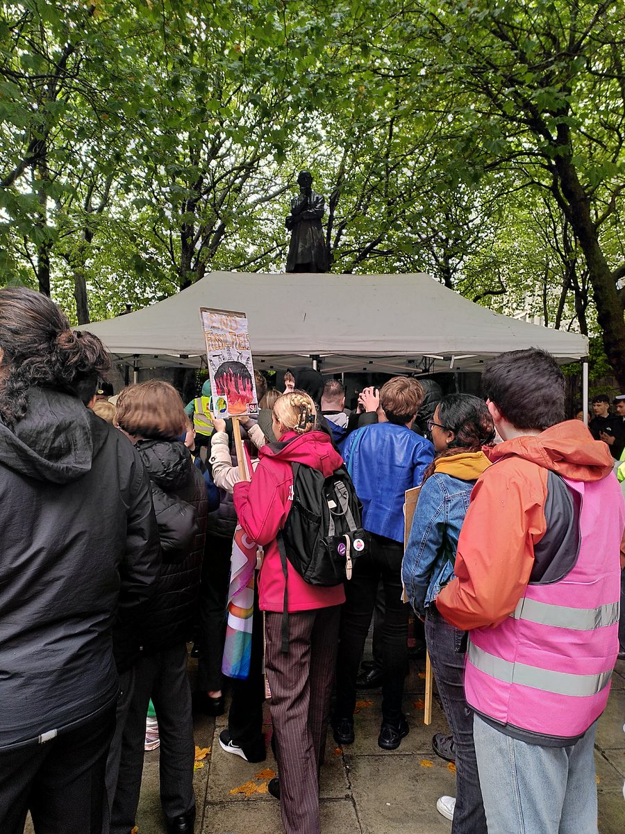 sheila coyle tweet media