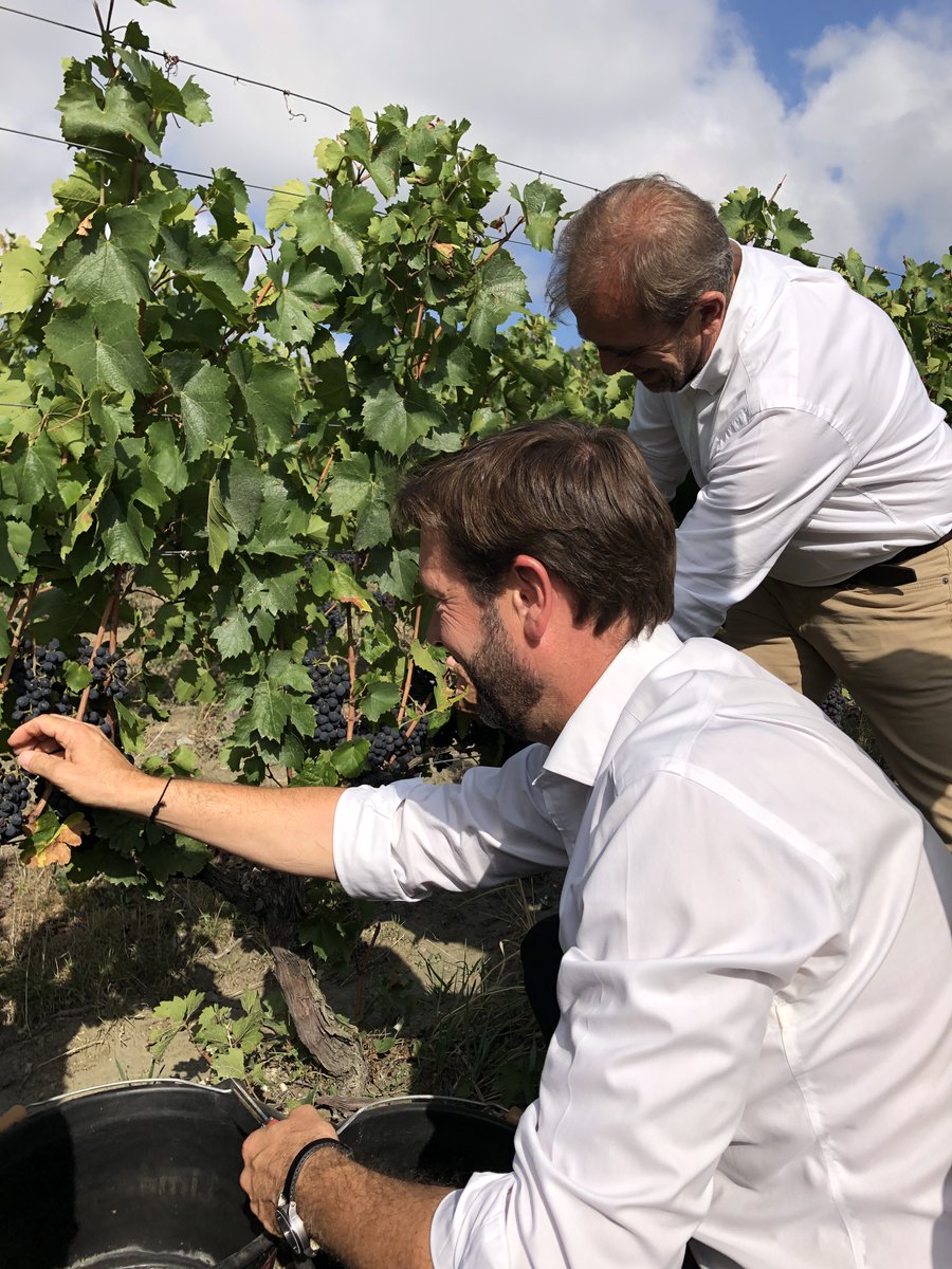 Vignobles d'Auvergne Rhône-Alpes tweet media