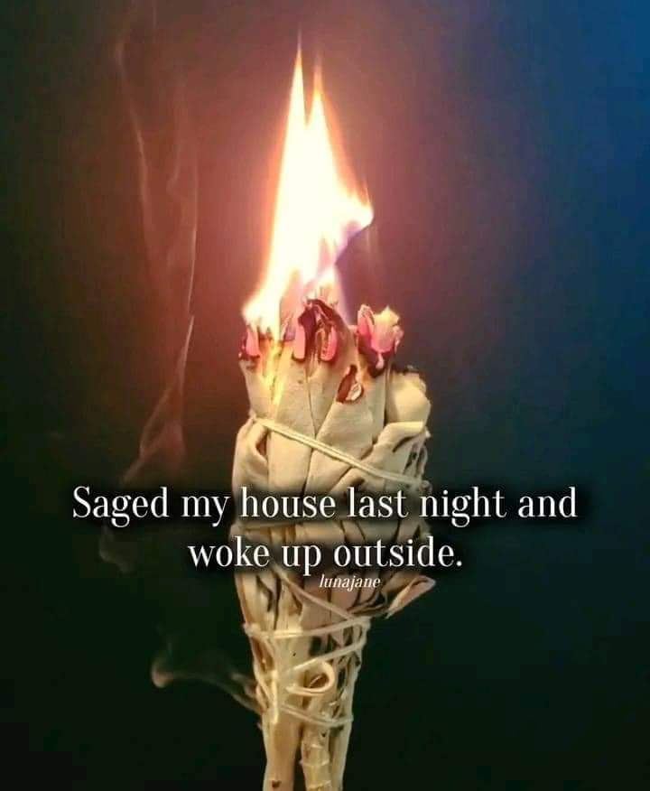 ErikVikingkin's tweet photo. "..SOOKIE... 
         "What kind of witch craft is this? 
[ wakes up outside the #Stackhouse farmhouse] without @SucculentSook https://t.co/QeAH4pKmiU