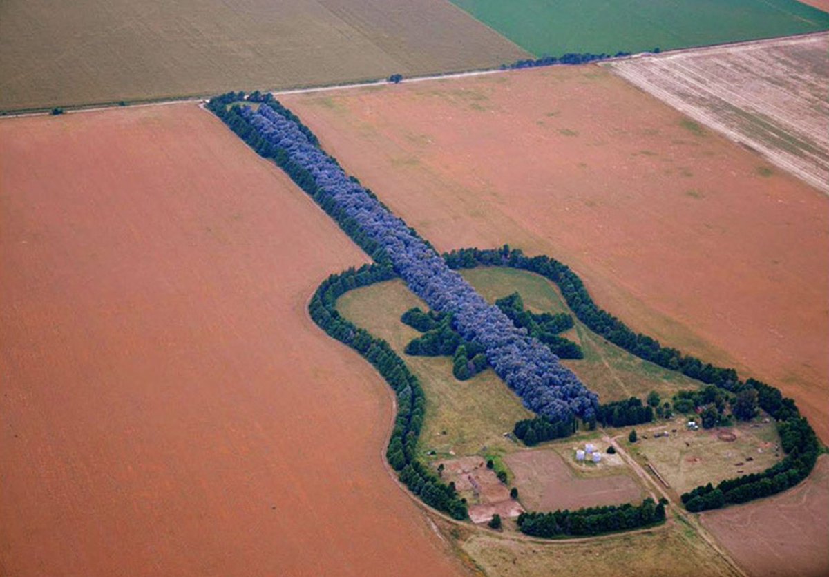 IntrigueArchive's tweet photo. Another example of tree artwork is the "Guitar Forest" in Argentina.

74-year-old farmer Pedro Martin Ureta with the help of his 4 children planted over 7,000 cypress and eucalyptus trees to create the shape of a guitar in memory of his wife Graciela Yraizoz who died in 1977 at 25.  His wife loved the guitar.