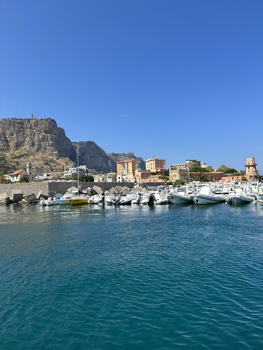 Ivy Walker tweet media