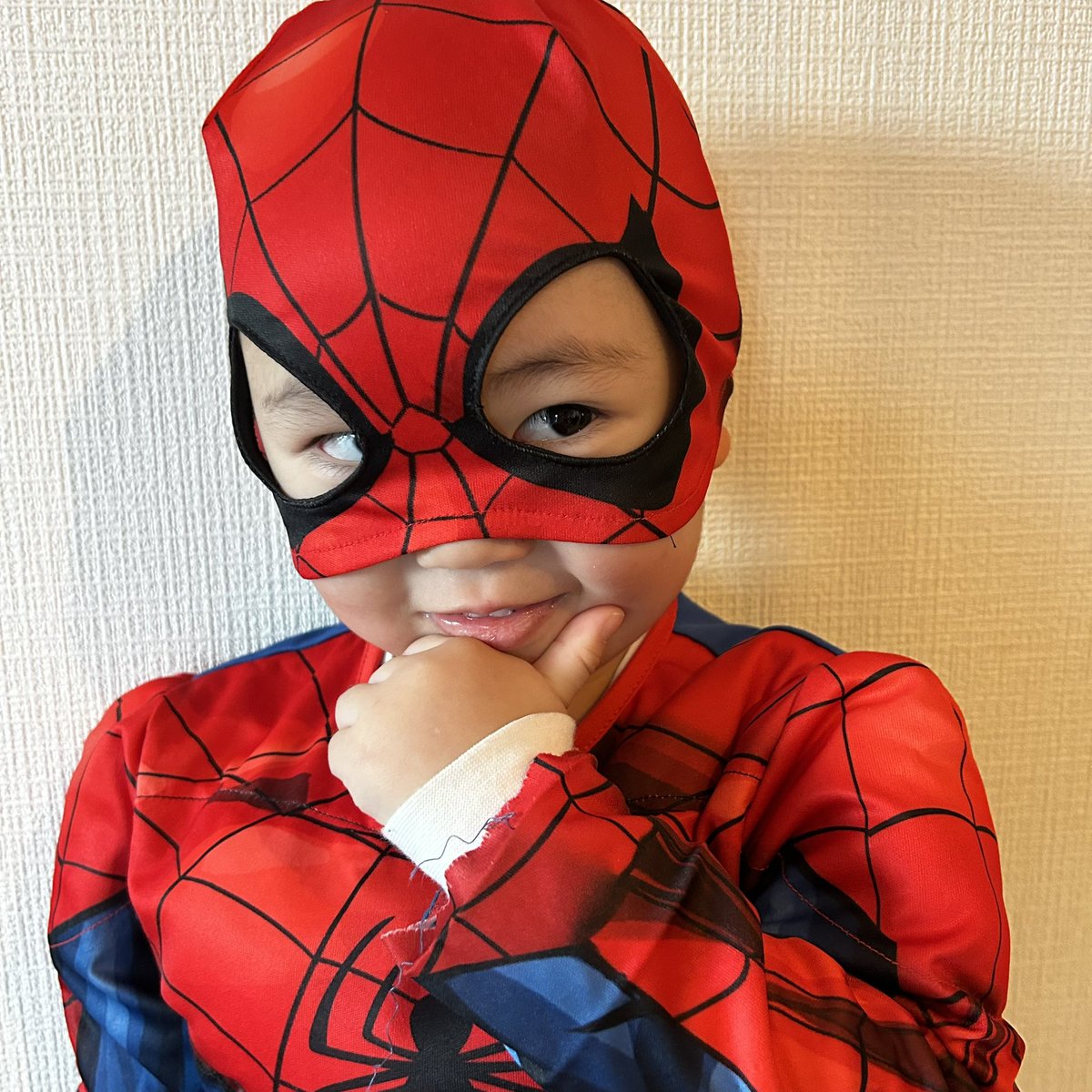 mitsuki914's tweet photo. こんなに可愛くて愛おしい存在が、あるなんて🩵🩵love🩵🩵 https://t.co/cMuLprWA2E