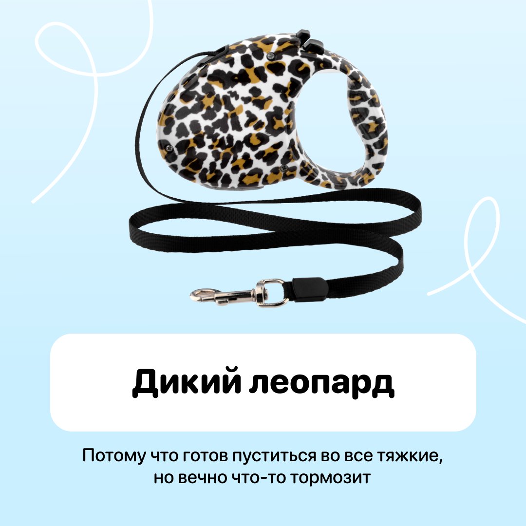 lapka_app's tweet photo. Без лишних слов: кто ты сегодня? Делитесь настроением в комментариях https://t.co/jHj34LlFhf