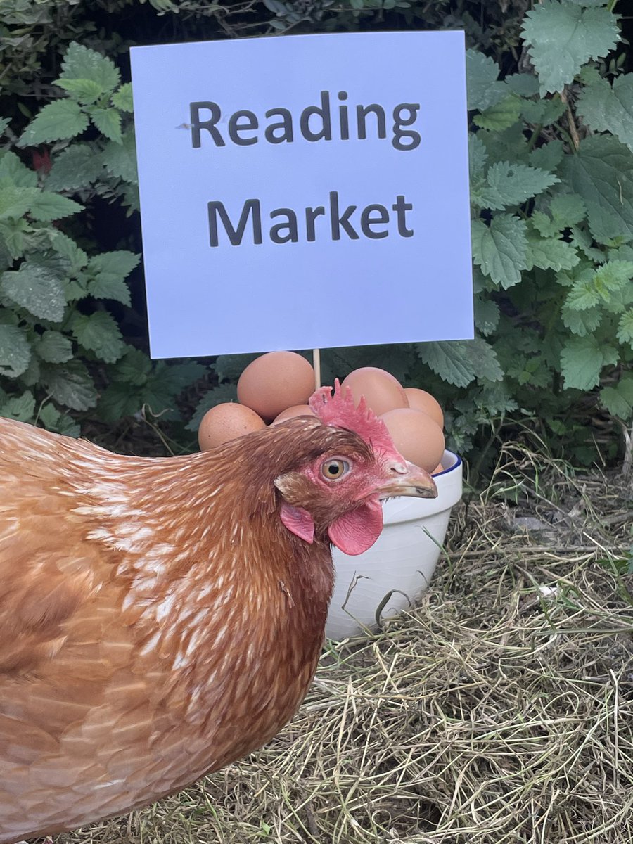 It is Reading Farmers' Market TOMORROW - Saturday 16th Sept - this is a fabulous market with a great line up of local Producers! Well worth a visit! 🥚❤️🥚

#Eggs #Reading #ReadingMarket #Foodie #Local #Berkshire #Rdg #RdgUK #InRdg #ReadingUK #FarmersMarket #Farming #LoveLocal