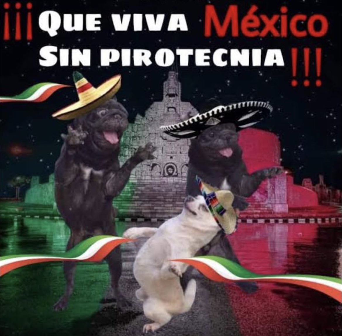 15 de Septiembre día de la independencia de Mexico también es un día que se convierte un martirio para muchos perritos, ojalá algún día no necesitemos la pirotecnia para celebrar