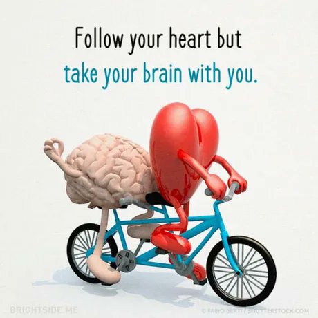 kayodeabraham's tweet photo. Heart + brain https://t.co/3tcoLyhn7B