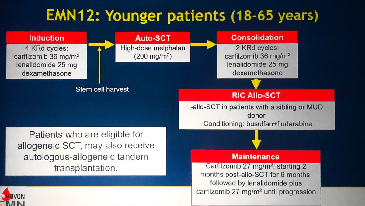 RahulBanerjeeMD's tweet photo. Now in @TheLancetOncol - EMN12 plasma cell leukemia trial! Kudos to authors for studying huge unmet need.

Complex schema (#ASH19 📸 @morenodegusmao) with KRd ➡️ tandem ASCT or auto/allo ➡️ K±R.

Outcomes similar to where #MMsm outcomes were 10 yrs ago - more work to be done! https://t.co/5C4pPacp5P