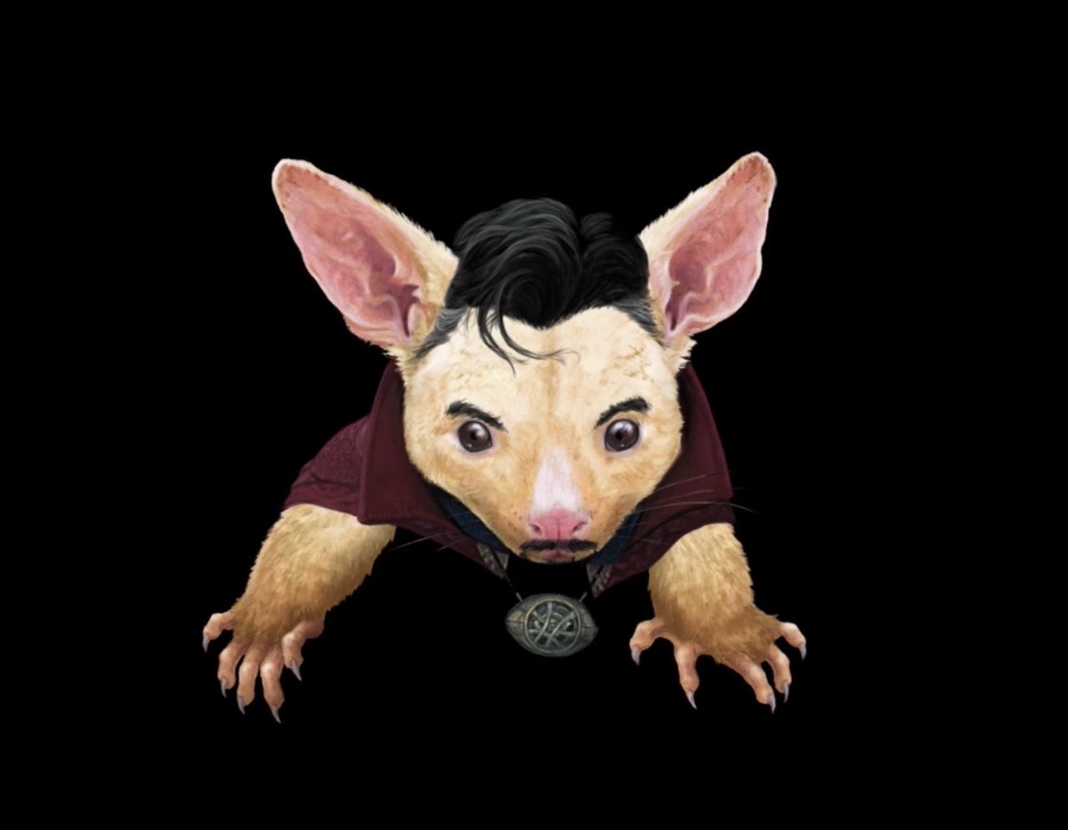 🎖️Friendship Friday 🎖️

We’re always looking for new friends on the #XRPL for collabs. 
Here’s one we did with <a href="/BillieverseNFT/">xBILLIE Cryptoverse (Origin)</a> for Gen 1 👀

Don’t miss your chance to make your own Possum, and have your creation added to Gen2. 

xrplawesomepossum.com/gen2-collectio…

#Xpossum #XRPLCommunity