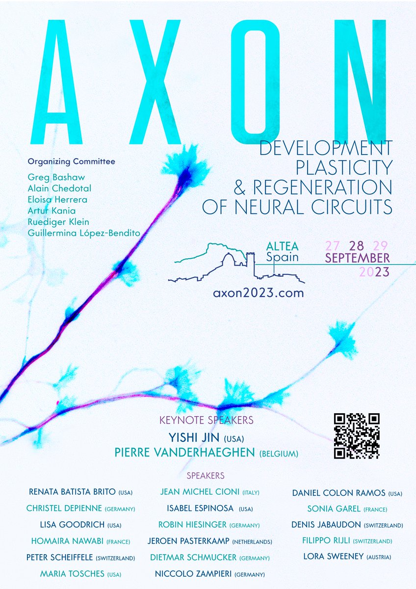 Getting really excited! The next AXON meeting is approaching very fast! Still time for registering here axon2023.com/index.php/regi… Looking forward seeing you all in Alicante! @GLB_Lab @NeuroAlc