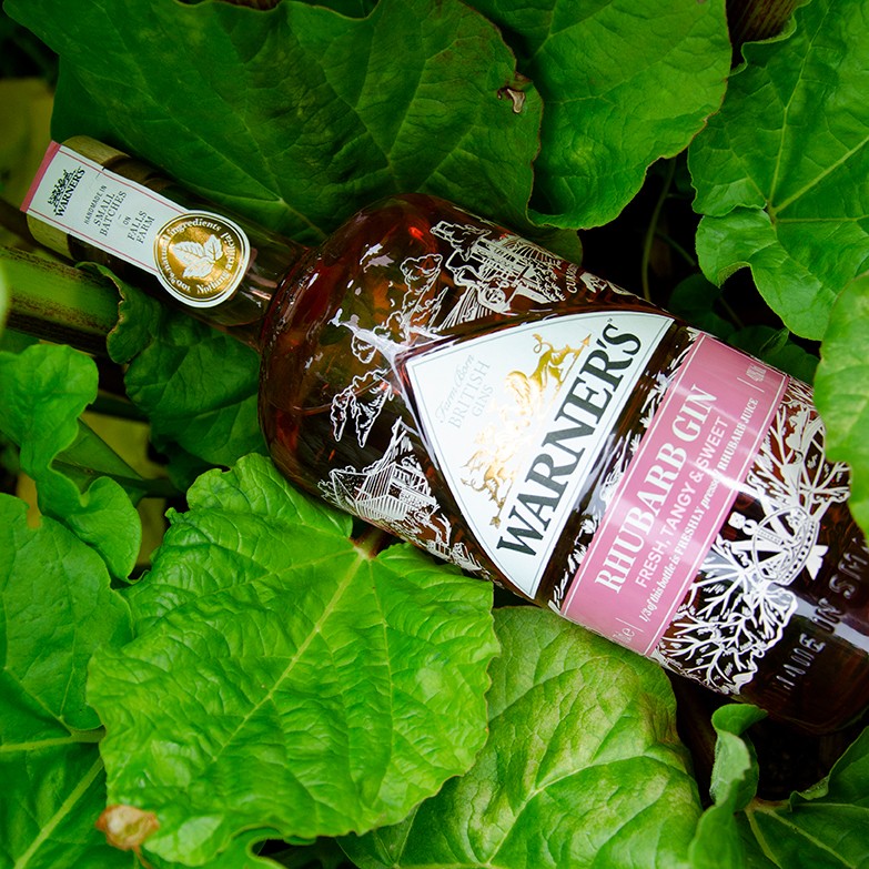 We have worked with @susie_dent to create a tricky tongue twister that showcases our Rhubarb Gin and the real rhubarb that is used to make it 👏 Have a go and let us know how you get on! bit.ly/3KS0nKq #WarnersTongueTwister #RealRhubarb #RealTastesBetter