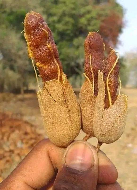 🔸¿Cómo lo llaman en tú país? 🤔