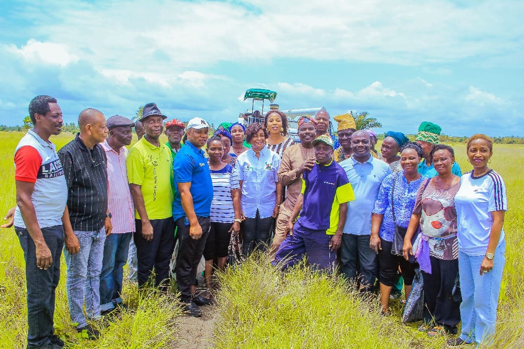 Lagos APPEALS Project tweet media