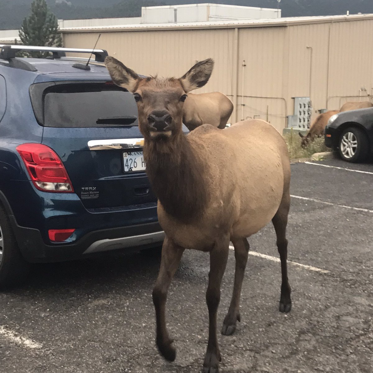 Donald Sinner tweet media