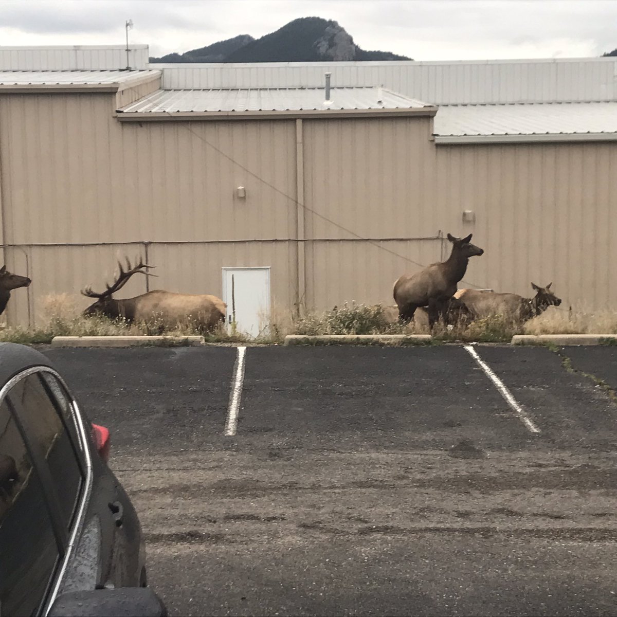 Donald Sinner tweet media