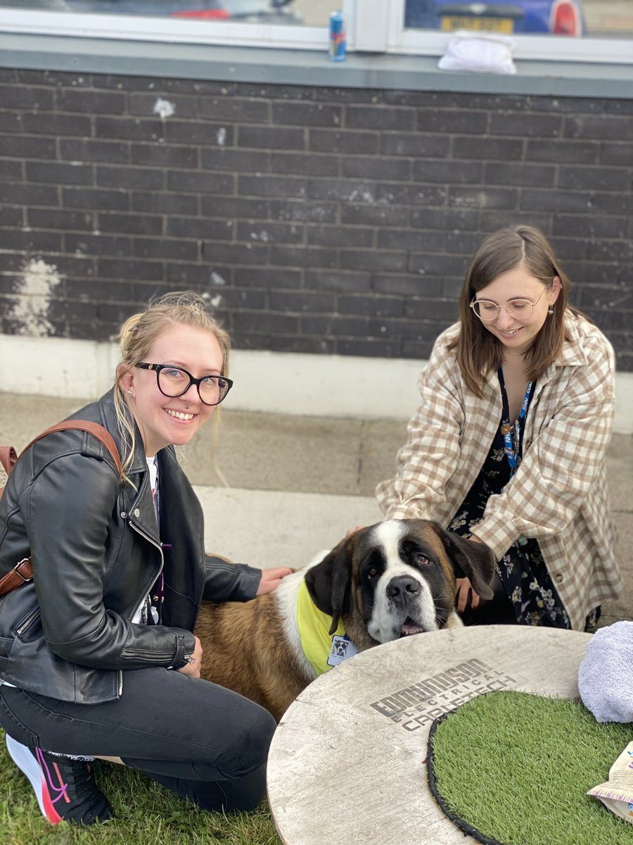 lauraclarke_rd's tweet photo. Spoilt by the Pathology team today 🤩 Sabrina sunbathing and chilling on the job @barnshospital @BrilsTeam https://t.co/NFnmnF7iqC