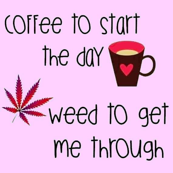 ModernMed_LA's tweet photo. Shhh.. it's medicinal 🤫 https://t.co/eqAOP6eyZH